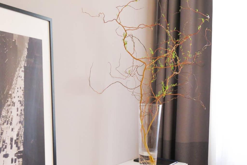Schonbrunn Apartment Βιέννη Εξωτερικό φωτογραφία